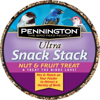Pennington 1 lb Nut and Fruit Blend Bird Seed