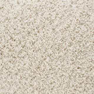 STAINMASTER Active Family Dorchester White Frieze Indoor Carpet
