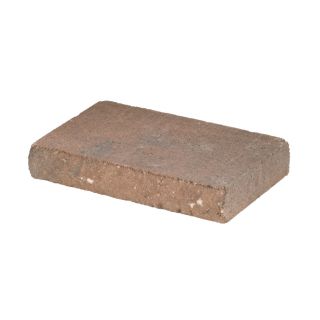 allen + roth Cassay Terracotta Chiselwall Retaining Wall Cap (Common 12 in x 2 in; Actual 12 in x 2 in)