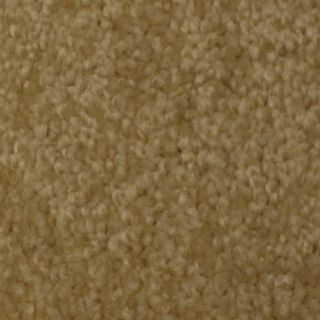 STAINMASTER Solarmax Westwind Patience Textured Indoor Carpet