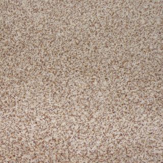 STAINMASTER Weddington Toast Cut Pile Indoor Carpet