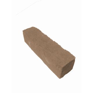 allen + roth Cassay Tan Charcoal Mirador Edging Stone (Common 3 in x 12 in; Actual 3.1 in x 12 in)