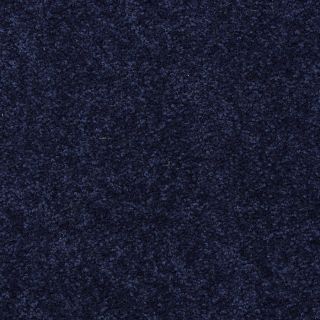 Shaw 7L41655402 Blue Textured Indoor Carpet