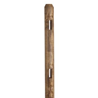 Round Pressure Treated Wood Fence Line Post (Common 5 ft; Actual 5.5 ft)