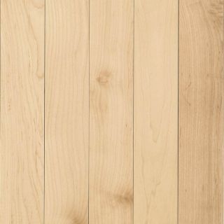 allen + roth 3 in W Prefinished Maple 3/4 in Solid Hardwood Flooring (Natural)