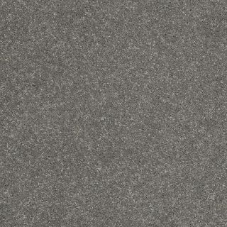 STAINMASTER Trusoft Luscious III Slate Textured Indoor Carpet