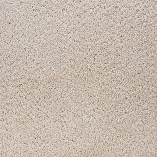 STAINMASTER Active Family Oak Grove Cream Cut and Loop Indoor Carpet
