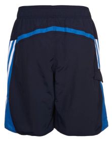 adidas Performance Swimming shorts   blue