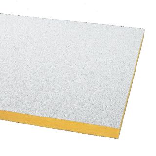 Armstrong 12 Pack Painted Nubby Ceiling Tile Panel (Common 24 in x 48 in; Actual 23.719 in x 47.719 in)