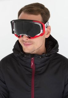 Oakley SIMON DUMONT SIGNATURE SERIES SPLICE SNOW   Ski goggles   grey