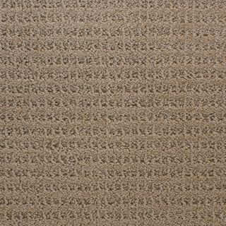 STAINMASTER Active Family Royal Livingstone Brown Level Loop Pile Indoor Carpet