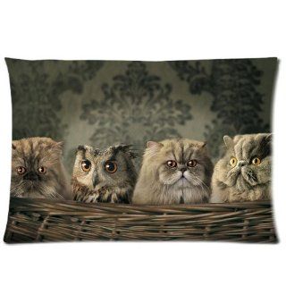 Funny Cat or Owl Animal Pillowcase king Size 20x36 inch pillow cover Print on both sides   Body Pillows