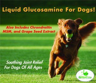 EXTRA STRENGTH Liquid Glucosamine For Dogs & Cats Also Contains Chondroitin, MSM & Grape Seed Extract (16 Fl. Oz.) ♥ Best Natural Anti Inflammatory Nutritional Pet Supplements ♥ Can Help With Feline & Canine Arthritis, Joint Pain &a
