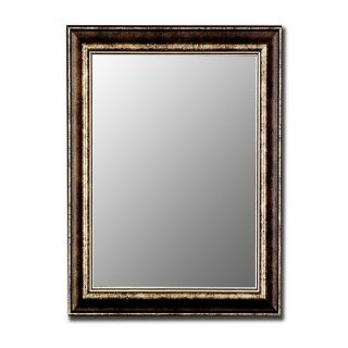 Hitchcock Butterfield 35 in x 45 in Framed with Plata Black Rectangular Framed Wall Mirror