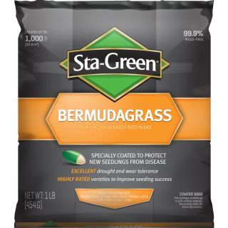 Sta Green 1 lbs Sun Bermuda Grass Seed
