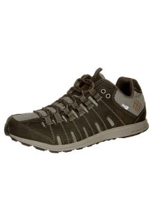 Columbia   MASTERFLY   Hiking shoes   brown