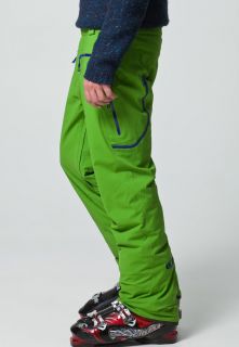 Salomon ODYSSEE GTX   Waterproof trousers   green