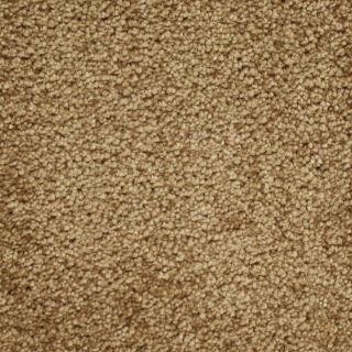 Looptex Mills Fb045 Captivate Brown Textured Indoor Carpet