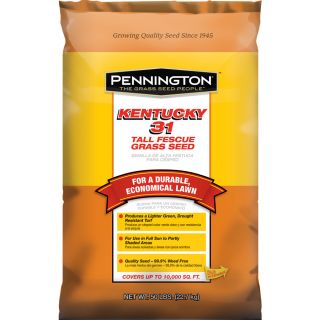 Pennington 50 lbs Sun and Shade Fescue Grass Seed Mixture