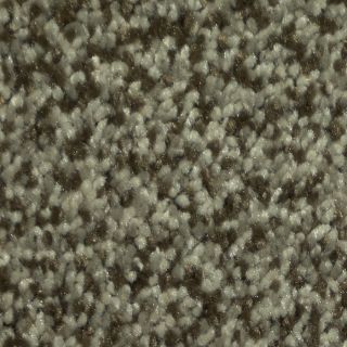 Dixie Group Trusoft Larissa Armani Cut Pile Indoor Carpet