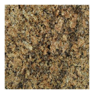 American Olean 10 Pack 12 in x 12 in Giallo Veneziano Polished Natural Granite Floor Tile