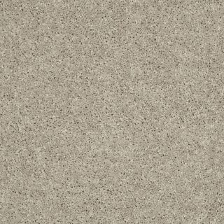 Shaw 7L53000106 Cream Textured Indoor Carpet