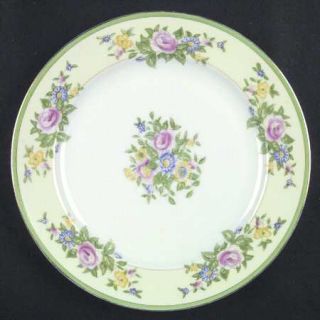 Celebrate Ceb14 Dinner Plate, Fine China Dinnerware   Green Band,Floral Spays,Cr