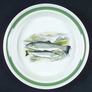 Portmeirion Compleat Angler Band Salad Plate, Fine China Dinnerware   White, Gre