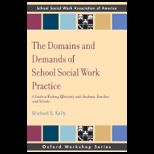 Domains and Demands of School Social Work Practice A Guide to Working Effectively with Students, Families and Schools