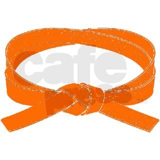 Orange Belt Mug by karateka