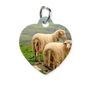 Pair of sheep on hill Pet Tag by ADMIN_CP_GETTY35497297