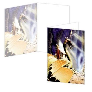 ECOeverywhere Dragon Rider Boxed Card Set, 12 Cards and Envelopes, 4 x 6 Inches, Multicolored (bc55008)  Blank Postcards 