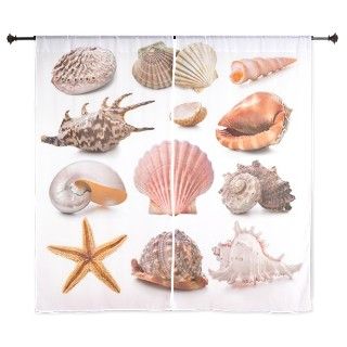 Seashell Collection 60 Curtains by Admin_CP70839509