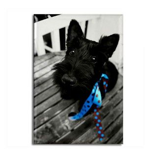 Scottie dog puppy Rectangle Magnet by terraphotography