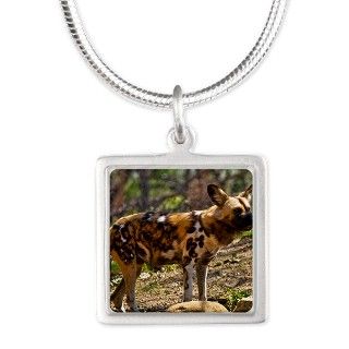 (15) African Wild Dog 193 Silver Square Necklace by Admin_CP910757