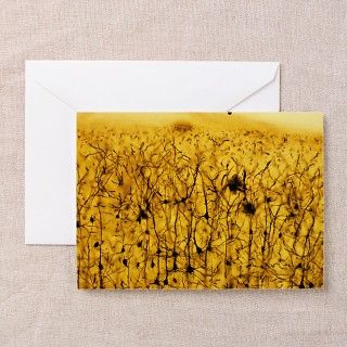 Cerebral cortex nerve cells   Greeting Cards (Pk o by sciencephotos