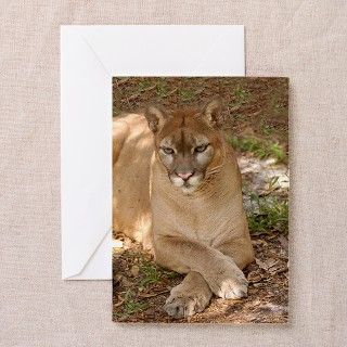 Cougar Greeting Cards (Pk of 10) by 12802