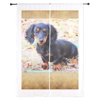 Puppy Love Doxie 84" Curtains by LaZevzecul4