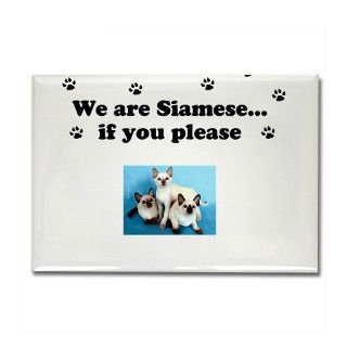 We are Siamese Rectangle Magnet by WeAreSiamseDesign