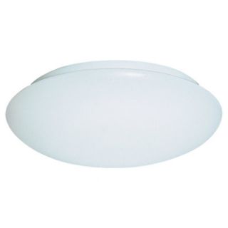 Sea Gull Lighting 1 Light 13W Fluorescent Flush Mount