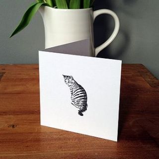 cat card by have a gander