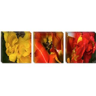 iCanvasArt Panoramic Details of Flowers Photographic Print on Canvas