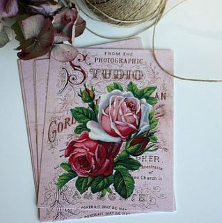 six 'studio roses' vintage postcards by claryce design