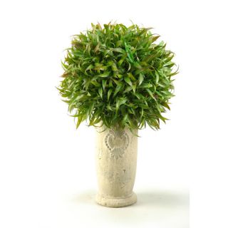 Wild Grass in Tall Ceramic Vase