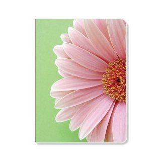ECOeverywhere Barberton Daisy Sketchbook, 160 Pages, 5.625 x 7.625 Inches (sk11636)  Storybook Sketch Pads 