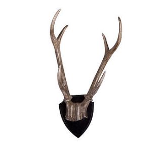 stag's antlers plaque by drift living