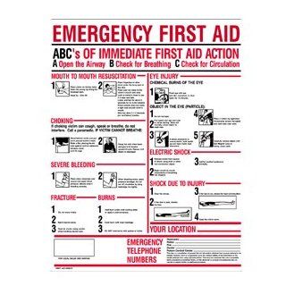 First Aid Only M5045 ABC's of Emergency First Aid Plastic Sign