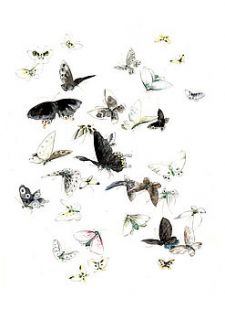 illustrated butterflies art print or canvas by i love art london