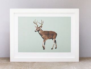 stag print by frost + dutch