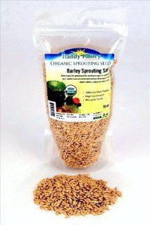 Organic Barley Seeds   1 Lbs (16 Oz.)   Unhulled Barleygrass Seed   Ornamental Barley Grass, Barley Grass for Juicing.  Barley Flours  Grocery & Gourmet Food
